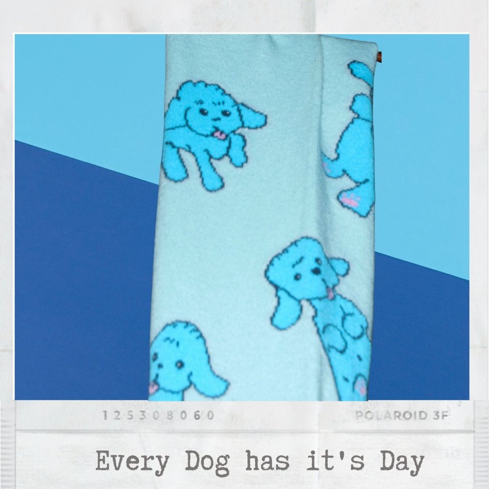 Whimsical Dog Scarf
